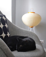 Rijstpapieren vloerlamp Jeecey